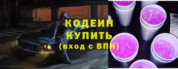 индика Богородицк