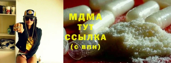 индика Богородицк