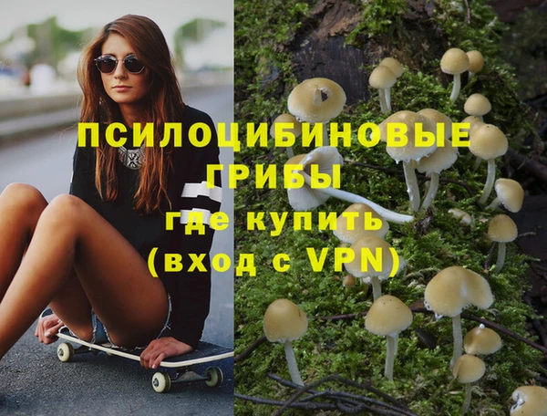дурь Богданович