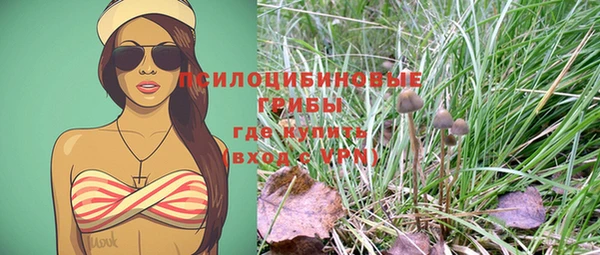 дурь Богданович
