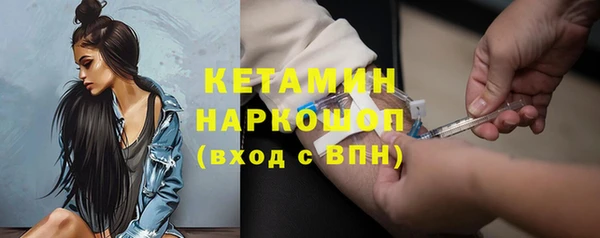 индика Богородицк