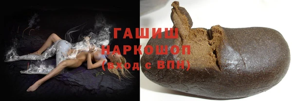 индика Богородицк