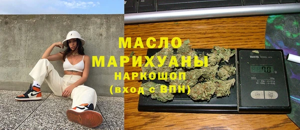 индика Богородицк