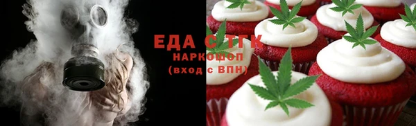 индика Богородицк