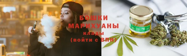 индика Богородицк