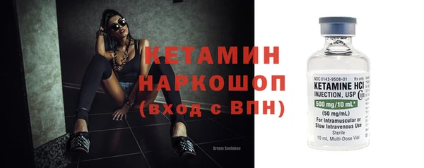 индика Богородицк