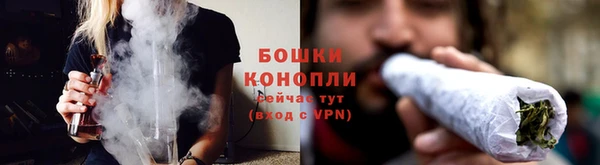 индика Богородицк