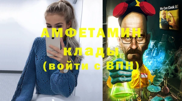 индика Богородицк