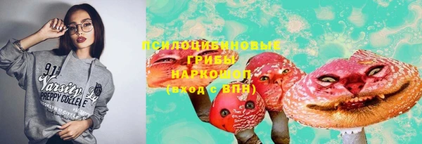 индика Богородицк
