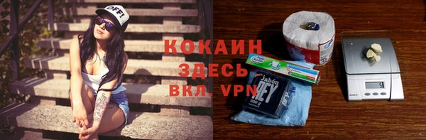 сатива Бронницы