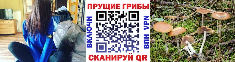 даркнет официальный сайт  omg онион  Михайловск  Галлюциногенные грибы ЛСД 