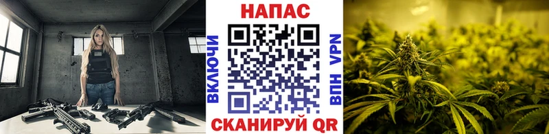 KRAKEN зеркало  Михайловск  Шишки марихуана марихуана 